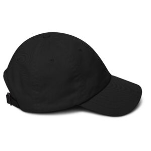 Limited Edition CQ Hat - Image 2